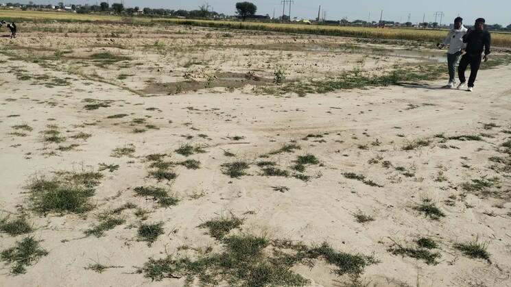 Exterior View, bamnikhera  360 Sq.Yd. Plot In Bamnikhera Palwal 8389880