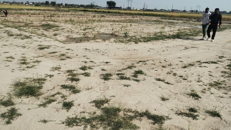 Exterior View, bamnikhera  360 Sq.Yd. Plot In Bamnikhera Palwal 8389880