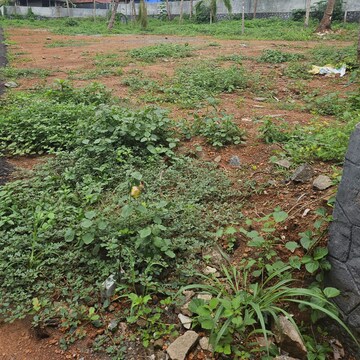 Plot Area in  Plot at Avenue Road – for Sale