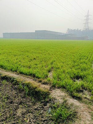  Land For Sale in Samalkha