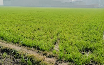 Land For Sale in Samalkha