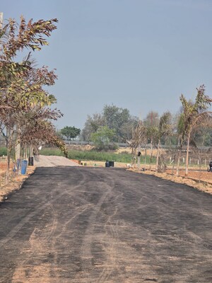 Plot Area in  Plot at Tappal – for Sale