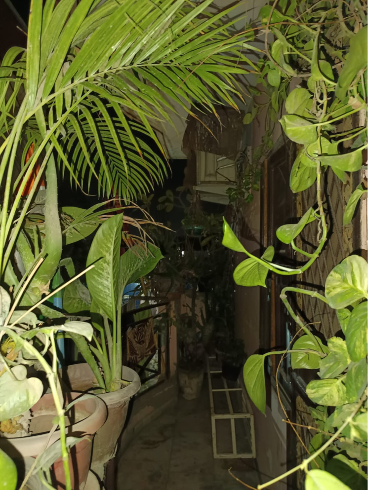 Map Location, deoli 2 Bedroom 860 Sq.Ft. Apartment In Deoli Delhi 8390974