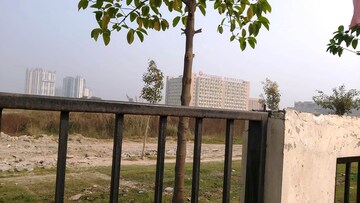  Plot For Sale in Sector 144