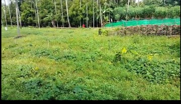 Plot Area in  Plot at Kodakara – for Sale