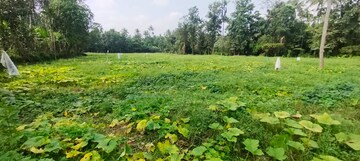  Plot – Exterior View View at Kodakara - for Sale