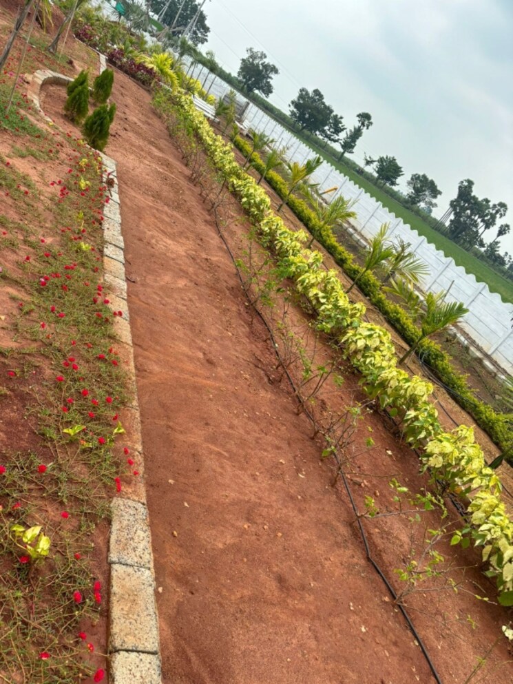 Garden, sri-bhumi-eeshaanya  600 Sq.Yd. Plot In Kankipadu Vijayawada 8391221