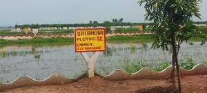 2 BHK Independent House For Sale in Sri Bhumi Eeshaanya, Kankipadu