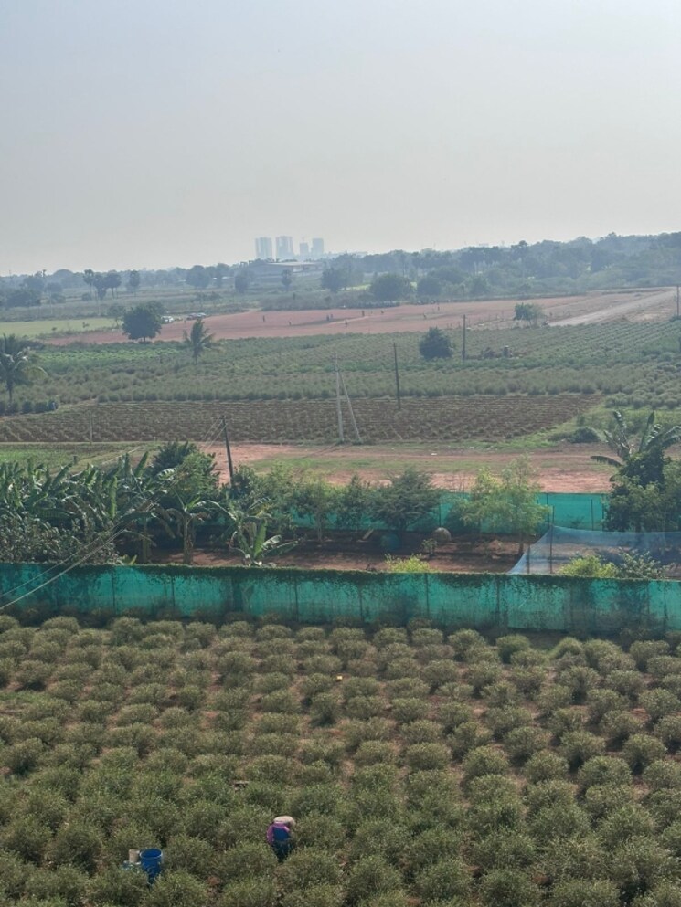 Exterior View, ssp-sree-city-prime  500 Sq.Yd. Plot In Kankipadu Vijayawada 8391508