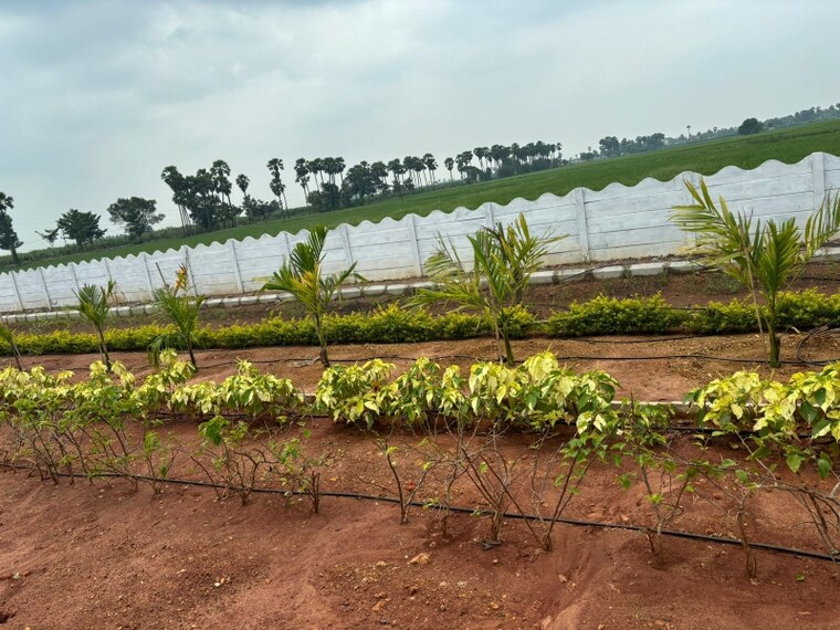 Exterior View, tadepalli  200 Sq.Yd. Plot In Tadepalli Vijayawada 8391628