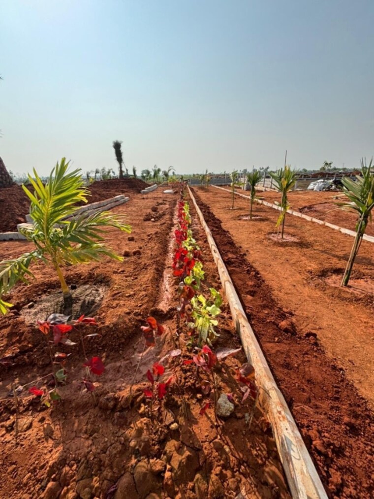 Exterior View, tadepalli  200 Sq.Yd. Plot In Tadepalli Vijayawada 8391628