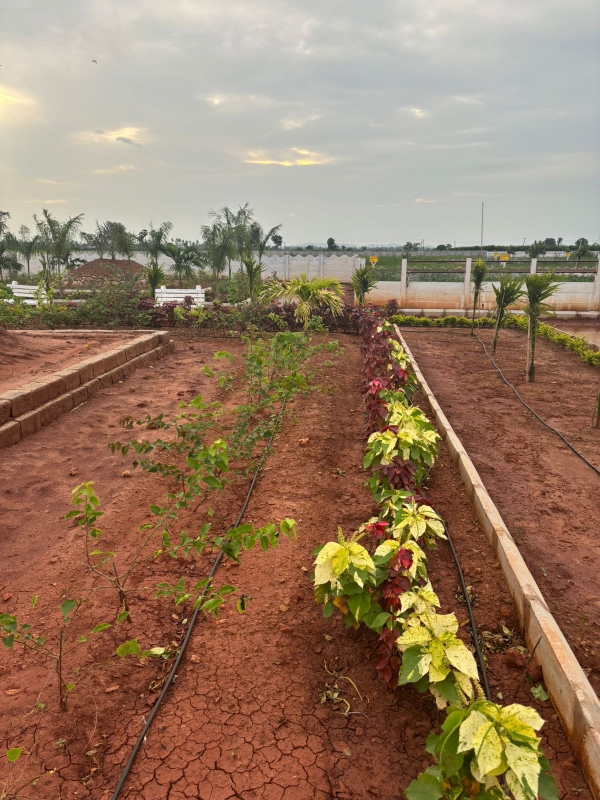 Plot For Sale in Sri Bhumi Infinity 