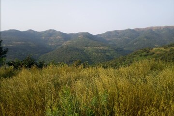  Land – Exterior View View at Bhor - for Sale