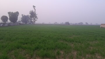 Plot Area in  Plot at Bikkanahalli – for Sale