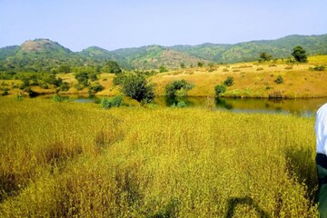  Land – Exterior View View at Purandar - for Sale
