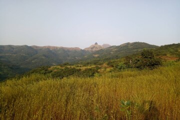  Land – Exterior View View at Purandar - for Sale