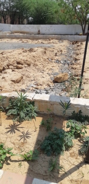  Plot For Sale in Jagatpura