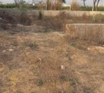 197 Sq.Yd. Plot in Ramnagariya