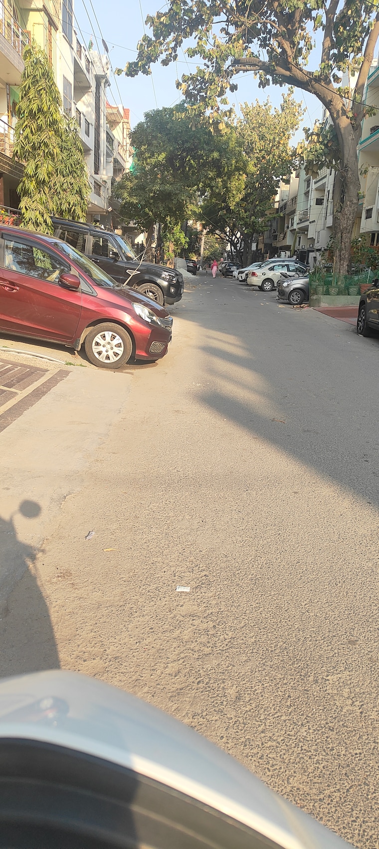  Parking, rwa-apartments-sector-19 2.5 Bedroom 250 Sq.Mt. Independent House In Sector 19 Noida 8392316