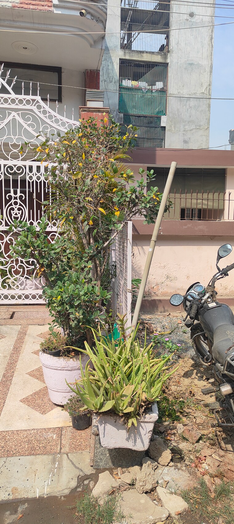 Exterior View, rwa-apartments-sector-19 2.5 Bedroom 250 Sq.Mt. Independent House In Sector 19 Noida 8392316