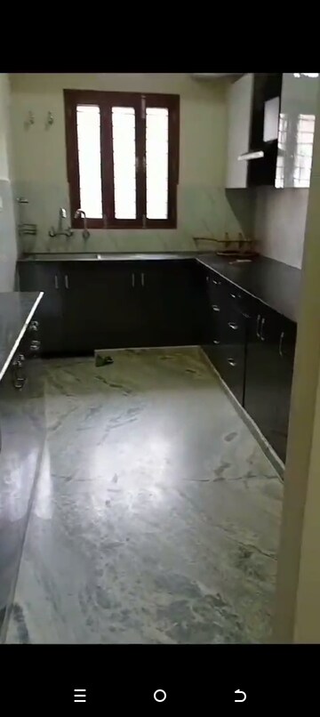 Kitchen in 2.5 BHK Builder Floor at Delta Ii Greater Noida – for Rent