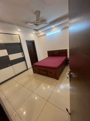 Furnished Amenities in 2 BHK Builder Floor at RWA Apartments Sector 40, Sector 40 – for Rent
