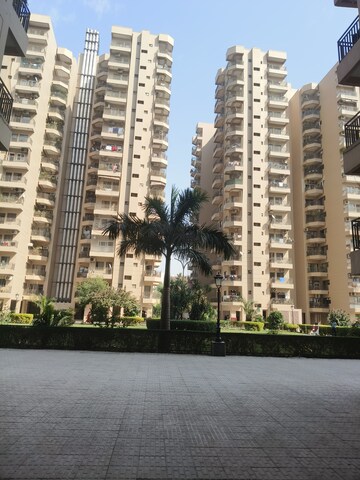 3 BHK Apartment For Rent in Ardee City Palm Grove Heights, Sector 52