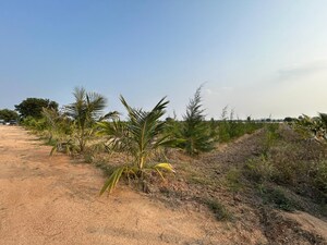  Plot For Sale in Janpriya Nagar