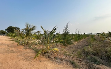 Plot For Sale in Janpriya Nagar