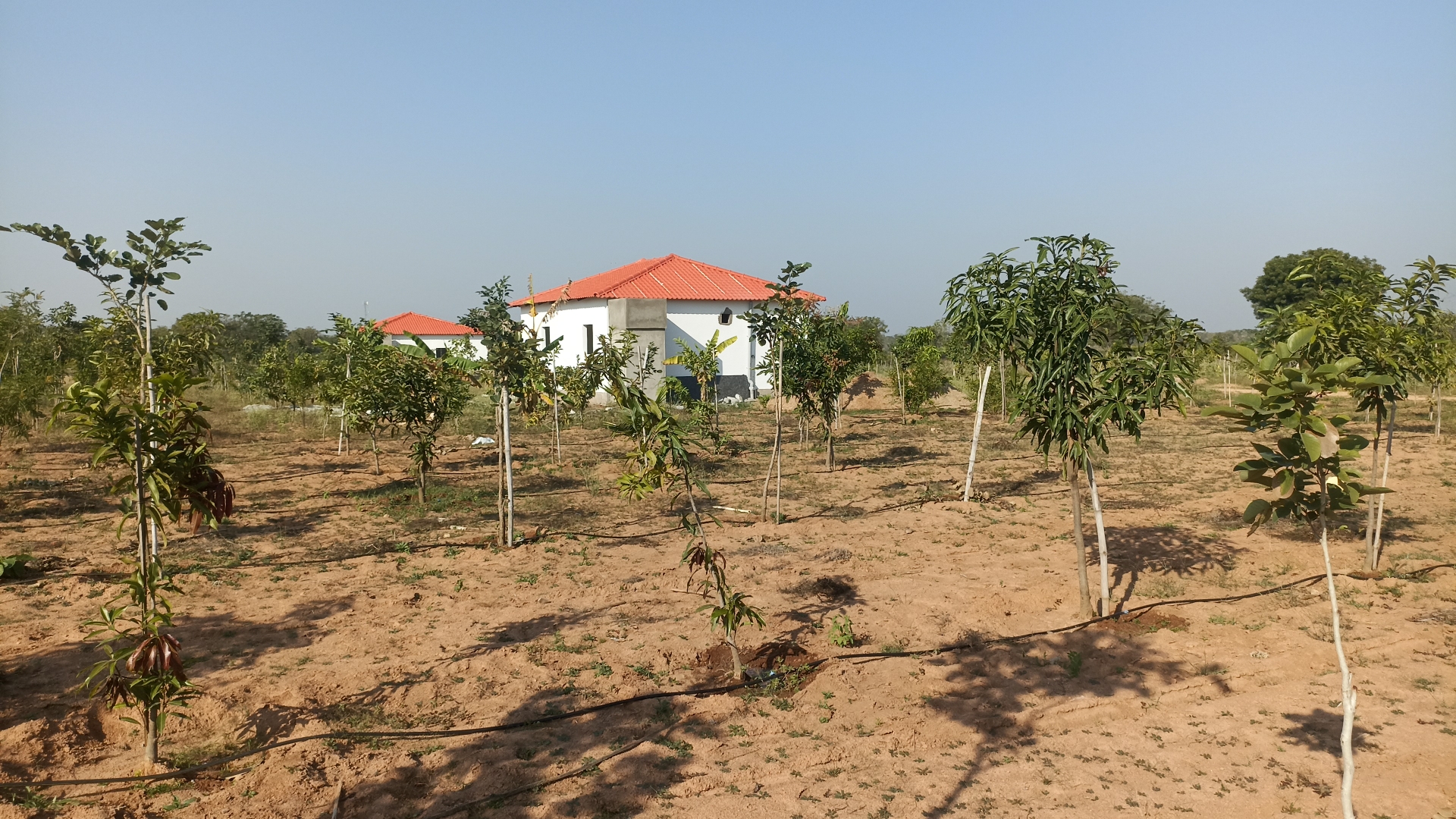 Plot For Sale in Real Woxen County