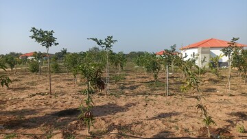  Plot – Exterior View View at Real Woxen County, Ghanpur - for Sale