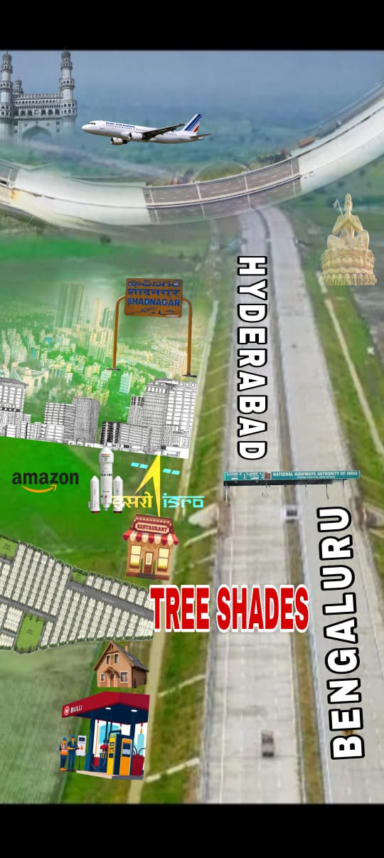 Plot For Sale in Fortune The Highway Orchards