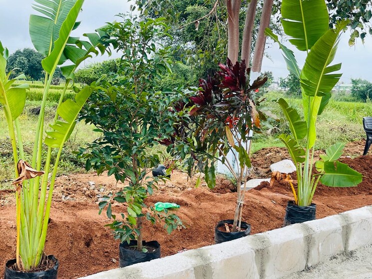 Exterior View, fortune-the-highway-orchards  200 Sq.Yd. Plot In Burgula Village Hyderabad 8392967