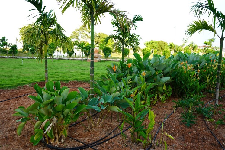 Garden, sai-sandeep-lr-green-shields  200 Sq.Yd. Plot In Cheeriyal Hyderabad 8392976