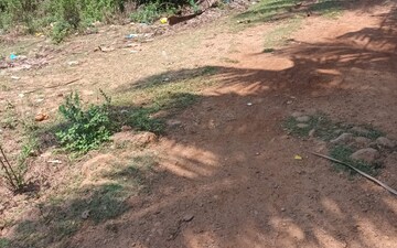 Plot For Sale in Kodibag
