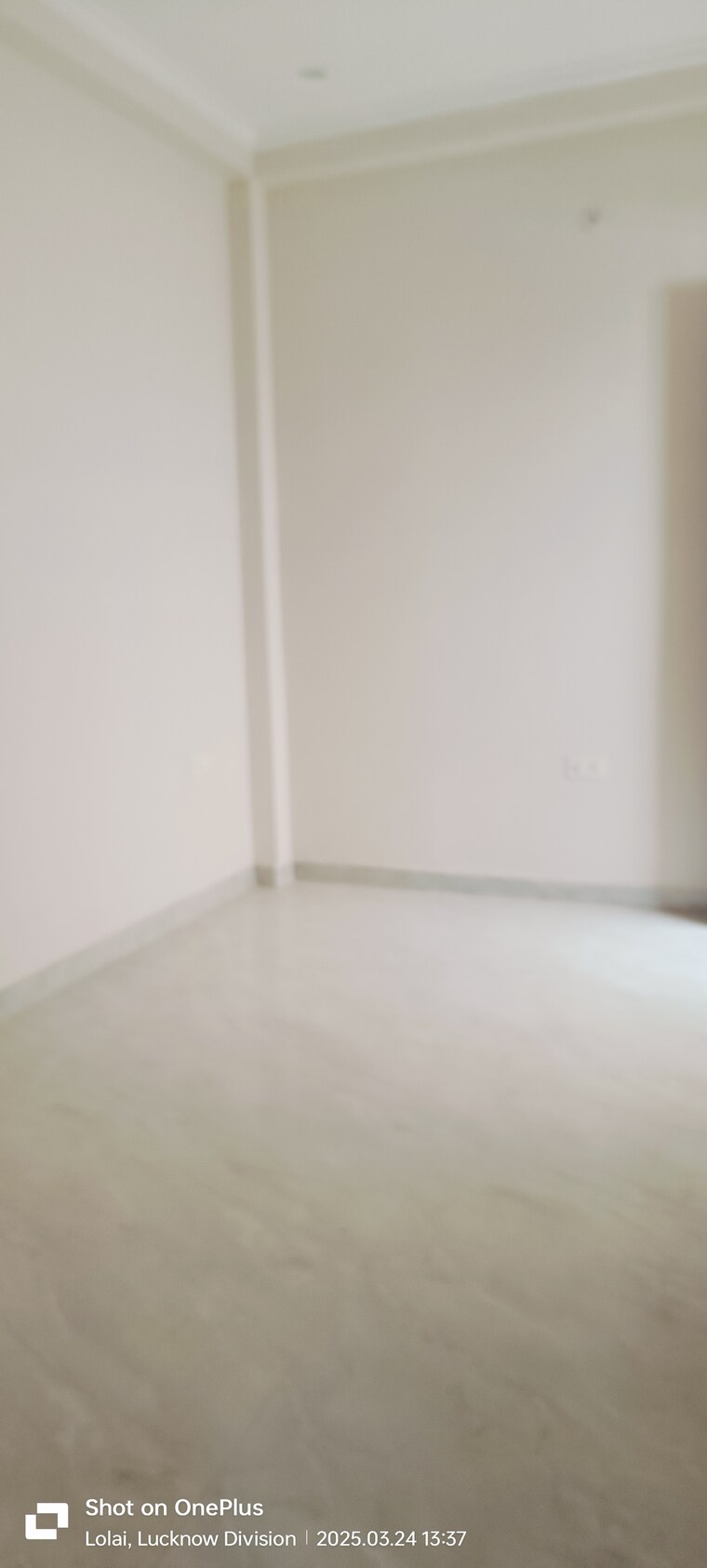 Room, gomti nagar 3 Bedroom 1639 Sq.Ft. Villa In Gomti Nagar Lucknow 8393379