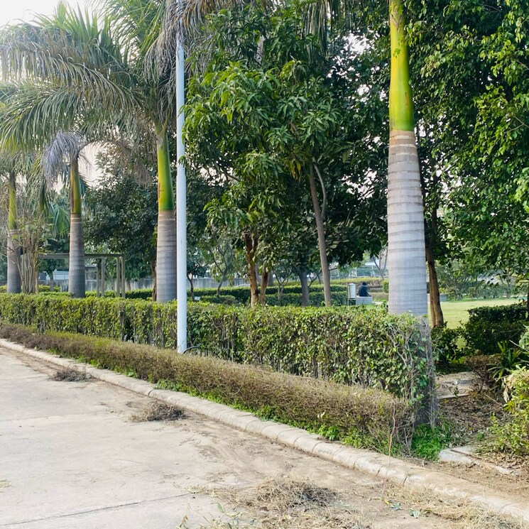 Exterior View, omaxe-new-chandigarh  200 Sq.Yd. Plot In Mullanpur Chandigarh 8393651