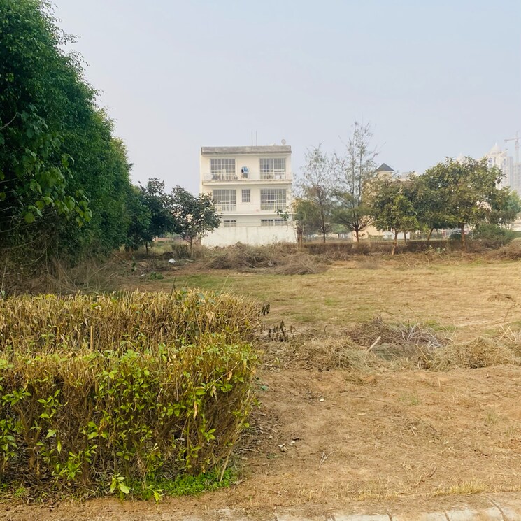 Exterior View, omaxe-new-chandigarh  200 Sq.Yd. Plot In Mullanpur Chandigarh 8393651