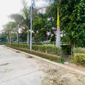  Plot – Exterior View View at Omaxe New Chandigarh, Mullanpur - for Sale