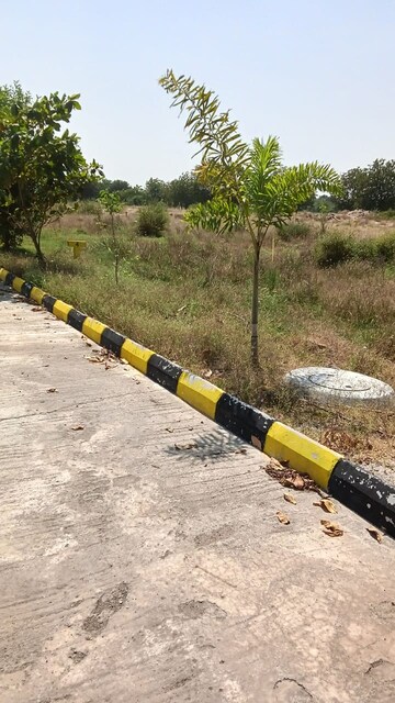 Plot Area in  Plot at Kondamadugu – for Sale