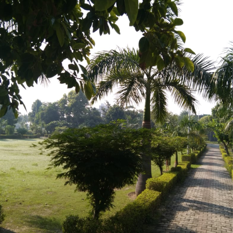 Garden, zestha-bhagirath-vihar-residency  144 Sq.Yd. Plot In Murshadpur Greater Noida 8394865