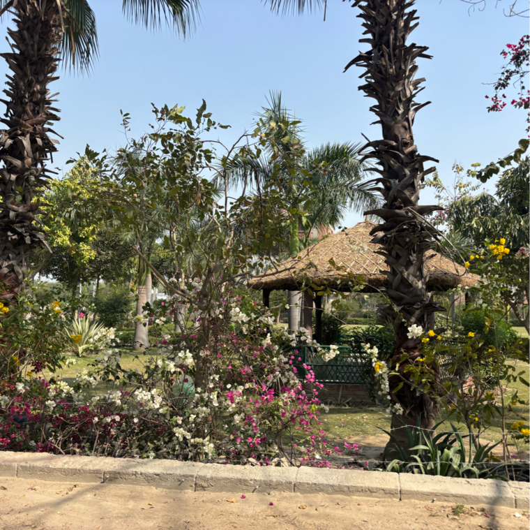 Garden, zestha-bhagirath-vihar-residency  144 Sq.Yd. Plot In Murshadpur Greater Noida 8394865