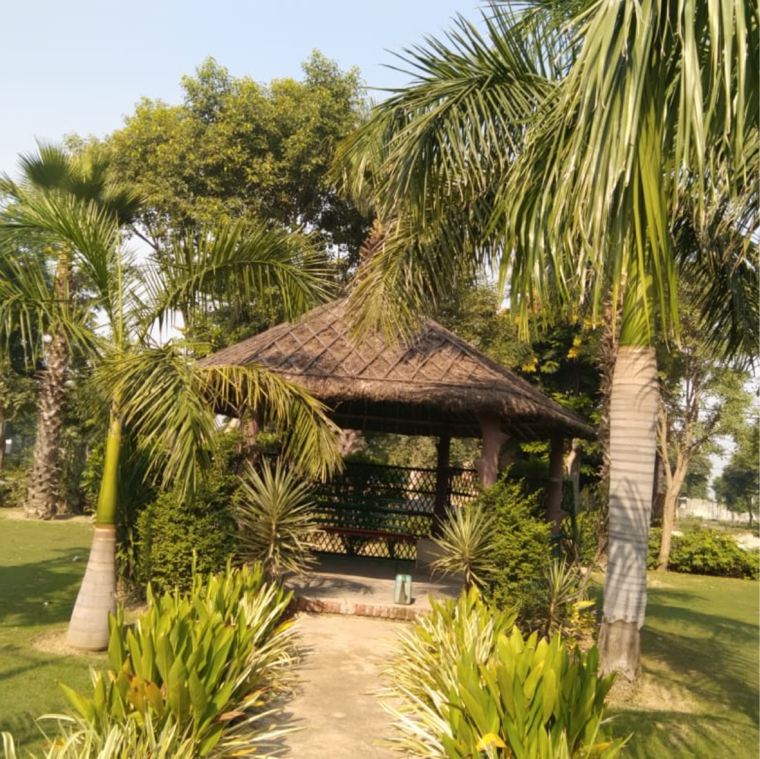 Garden, zestha-bhagirath-vihar-residency  144 Sq.Yd. Plot In Murshadpur Greater Noida 8394865