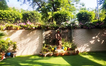 Plot For Sale in RWA Apartments Sector 51, Sector 51