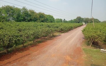 Plot For Sale in Kanpur Road