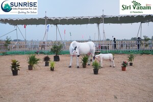 Plot Area in  Plot at Indresham – for Sale