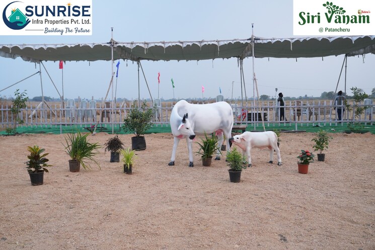 undefined, indresham  242 Sq.Yd. Plot In Indresham Hyderabad 8395845