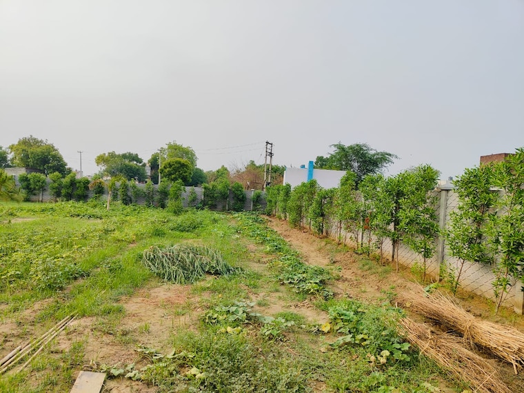 Exterior View, sector 98  180 Sq.Yd. Plot In Sector 98 Faridabad 8396287