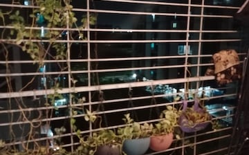 2 BHK Apartment For Sale in SM Kunj, Taloja