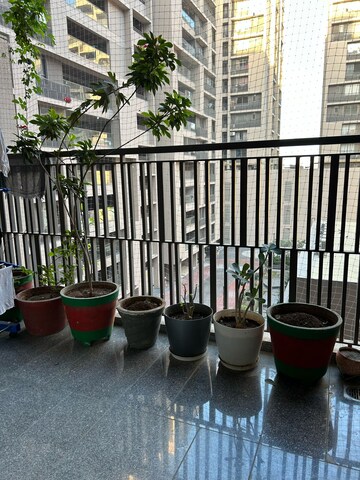 Balcony in 3 BHK Apartment at Goyal Olive Greens, Gota – for Rent